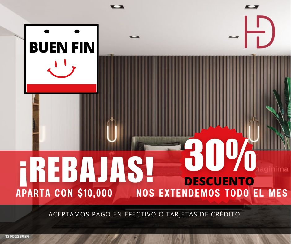 Promoción Buen fin